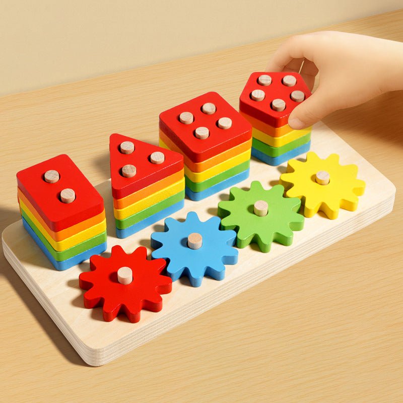 Geometric Matching Montessori Educational Toy